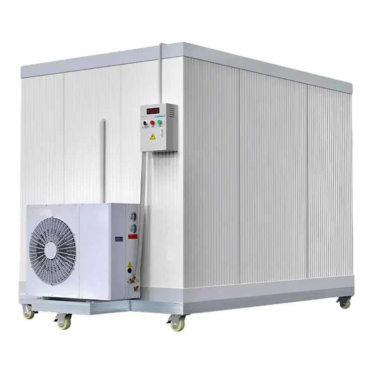 Ano ang mga aplikasyon ng mobile cold storage?