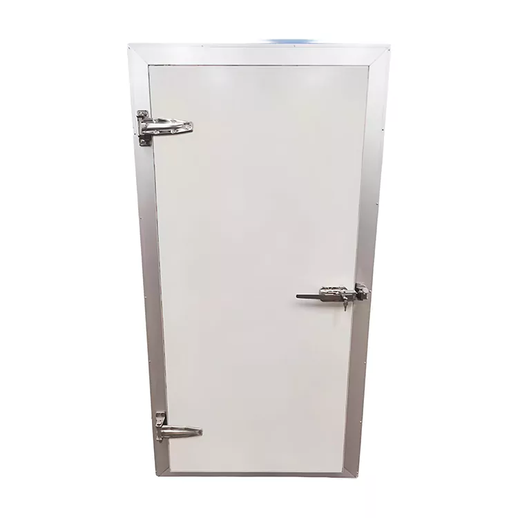 Semi recessed retrofit cold storage door